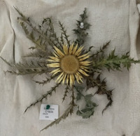 C19